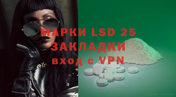 сатива Балахна