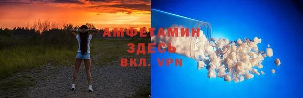 сатива Балахна