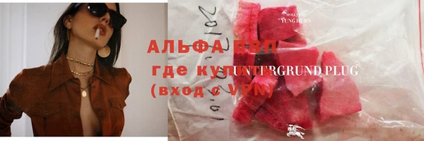 сатива Балахна