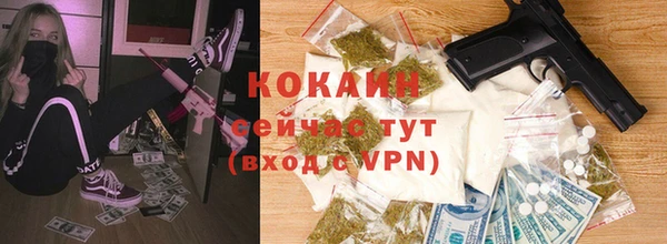сатива Балахна
