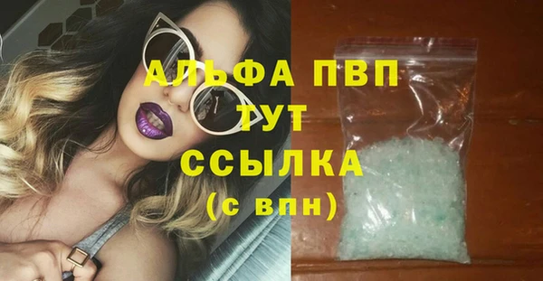 сатива Балахна